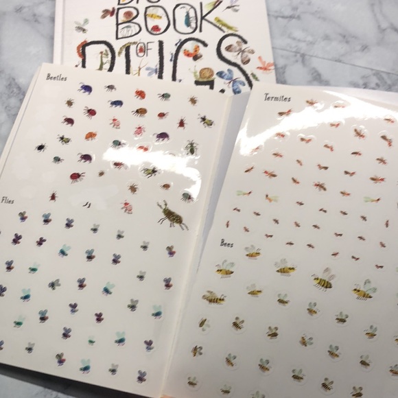 The Big Book of Bugs & Sticker Book - Picture 8 of 9